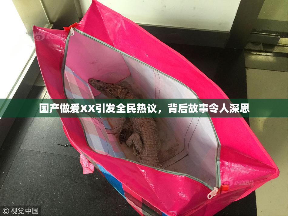国产做爰XX引发全民热议，背后故事令人深思