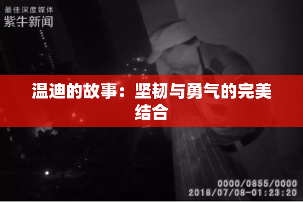 温迪的故事：坚韧与勇气的完美结合