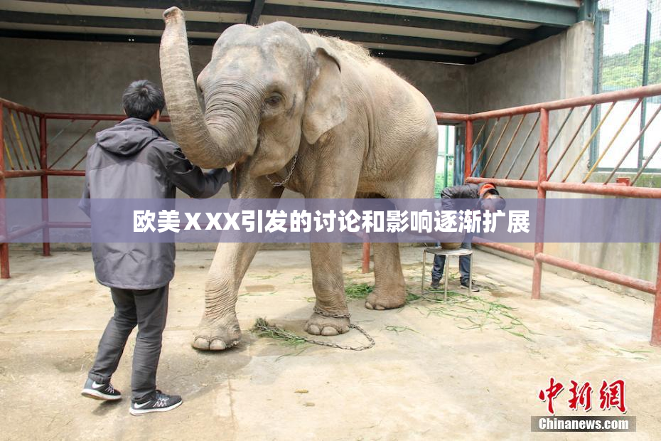 欧美ⅩXX引发的讨论和影响逐渐扩展