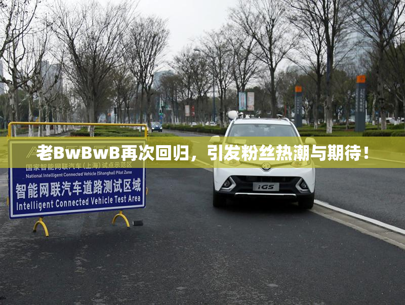 老BwBwB再次回归，引发粉丝热潮与期待！