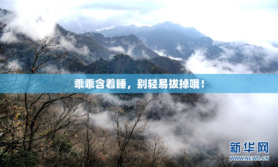 乖乖含着睡，别轻易拔掉哦！