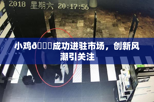小鸡🐔成功进驻市场，创新风潮引关注