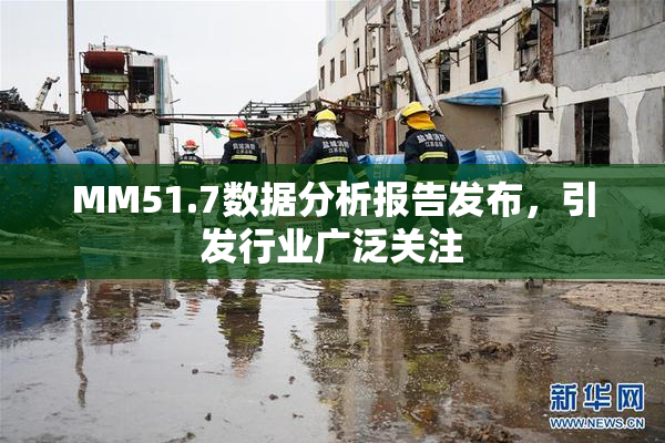MM51.7数据分析报告发布，引发行业广泛关注