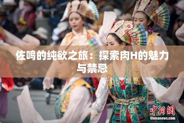 佐鸣的纯欲之旅：探索肉H的魅力与禁忌