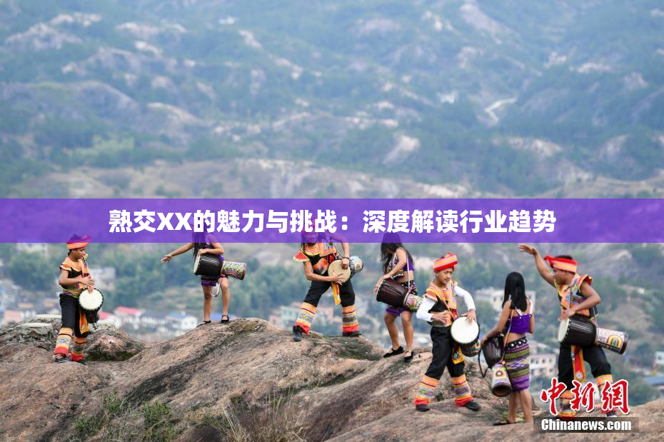 熟交XX的魅力与挑战：深度解读行业趋势
