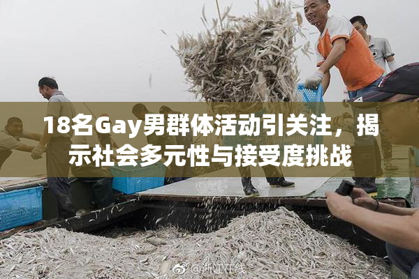 18名Gay男群体活动引关注，揭示社会多元性与接受度挑战