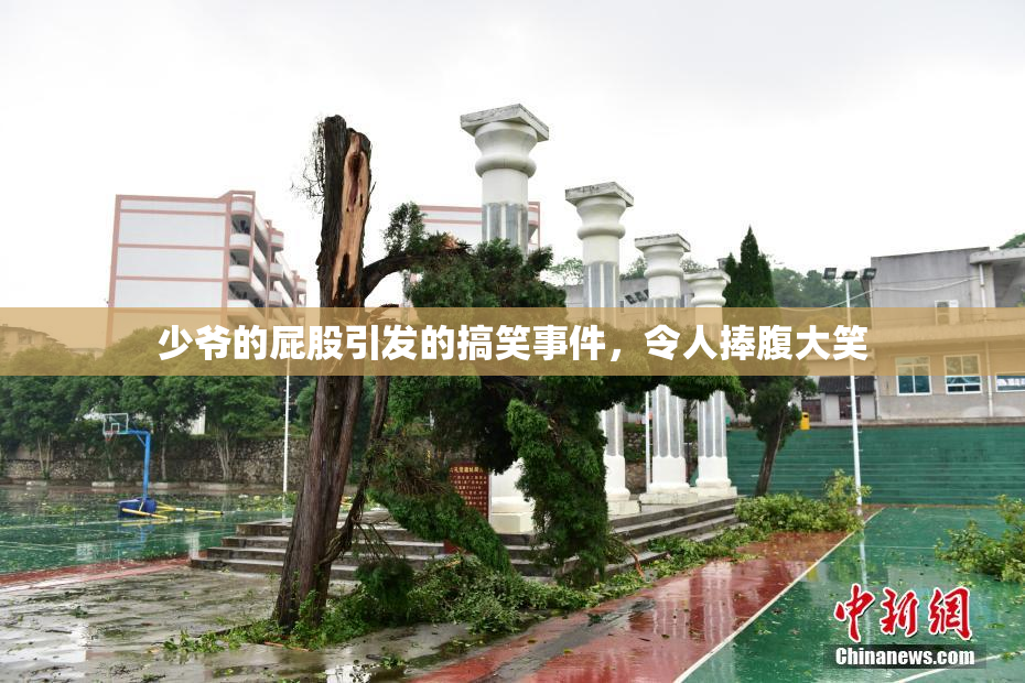 少爷的屁股引发的搞笑事件，令人捧腹大笑