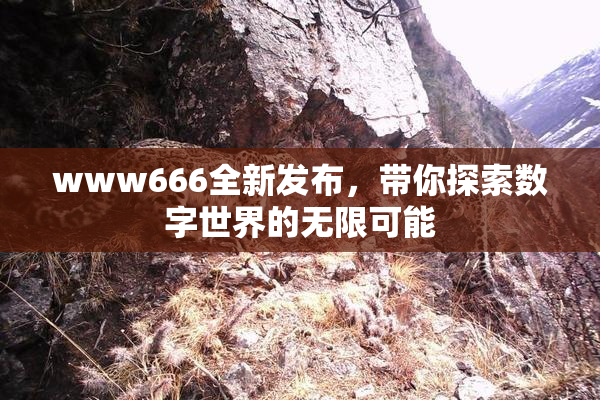 www666全新发布，带你探索数字世界的无限可能