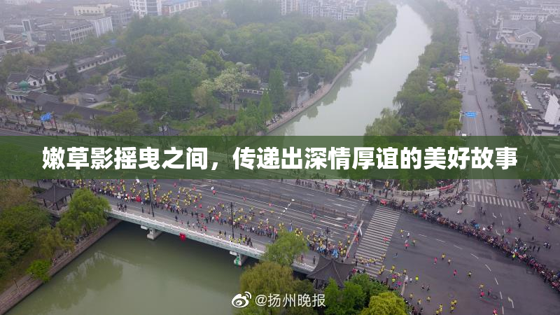 嫩草影摇曳之间，传递出深情厚谊的美好故事