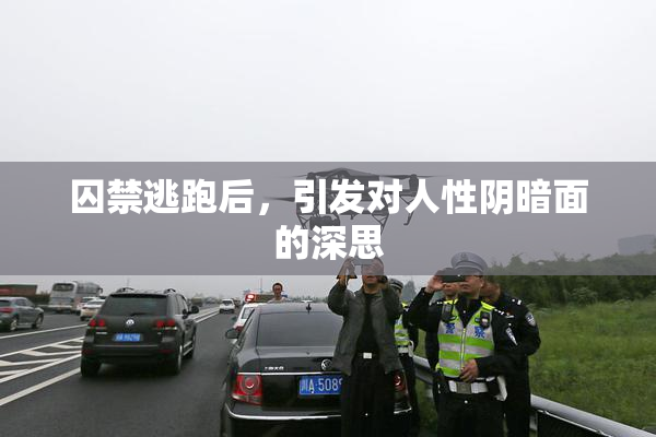 囚禁逃跑后，引发对人性阴暗面的深思