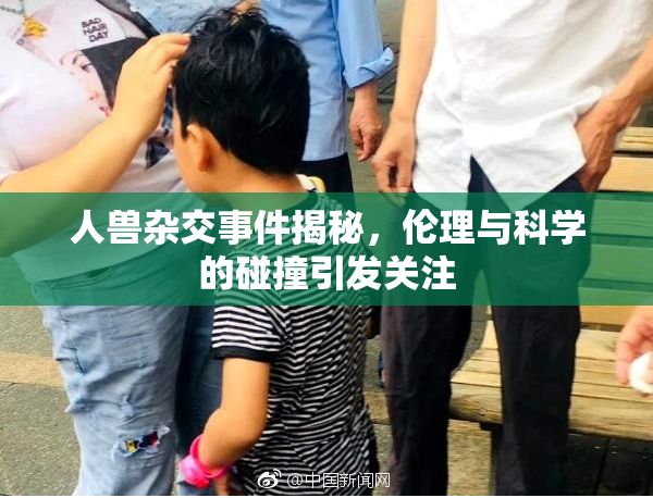 人兽杂交事件揭秘，伦理与科学的碰撞引发关注