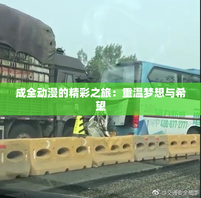 成全动漫的精彩之旅：重温梦想与希望