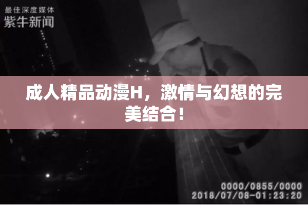 成人精品动漫H，激情与幻想的完美结合！