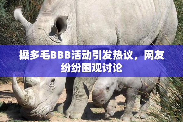 搡多毛BBB活动引发热议，网友纷纷围观讨论