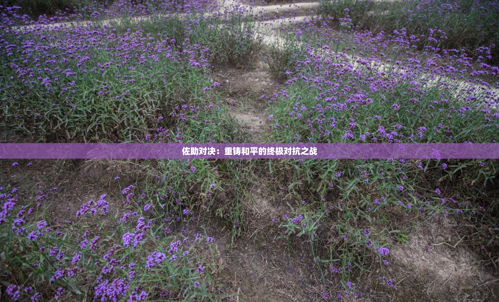 佐助对决：重铸和平的终极对抗之战
