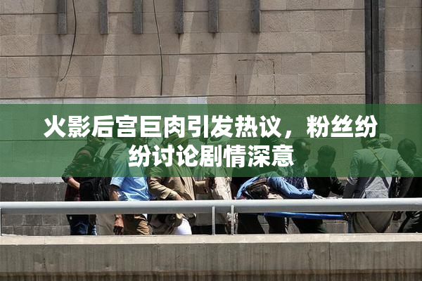 火影后宫巨肉引发热议，粉丝纷纷讨论剧情深意