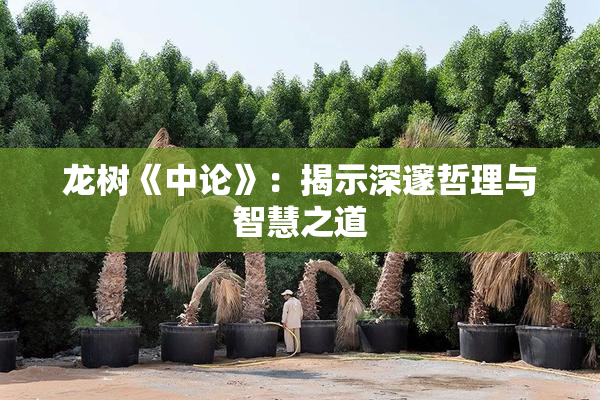 龙树《中论》：揭示深邃哲理与智慧之道