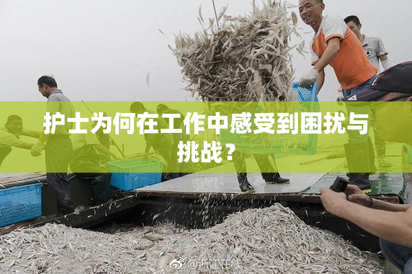 护士为何在工作中感受到困扰与挑战？