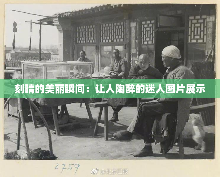 刻晴的美丽瞬间：让人陶醉的迷人图片展示