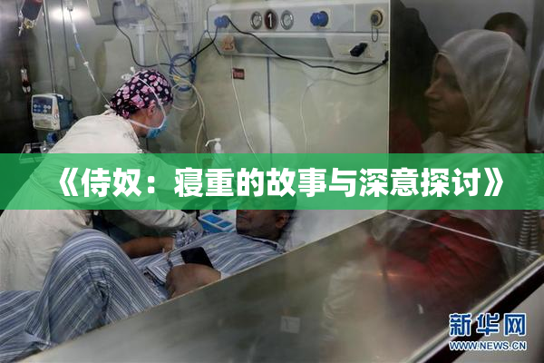 《侍奴：寝重的故事与深意探讨》