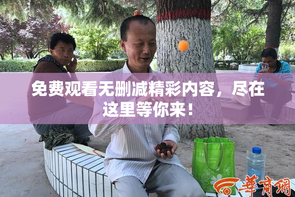 免费观看无删减精彩内容，尽在这里等你来！