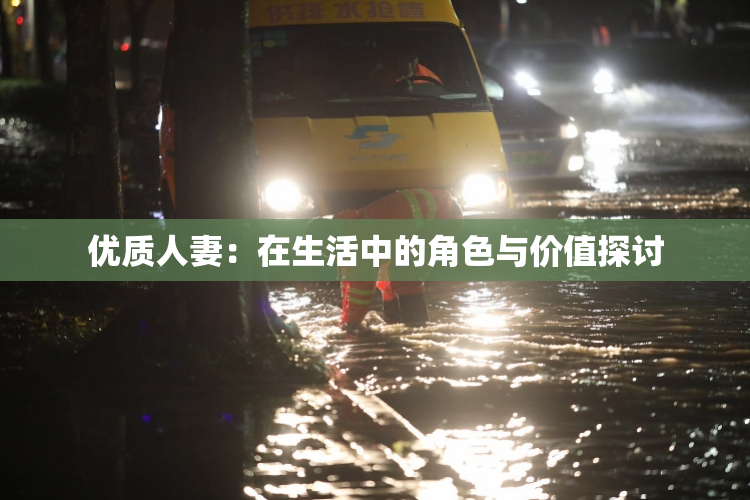 优质人妻：在生活中的角色与价值探讨