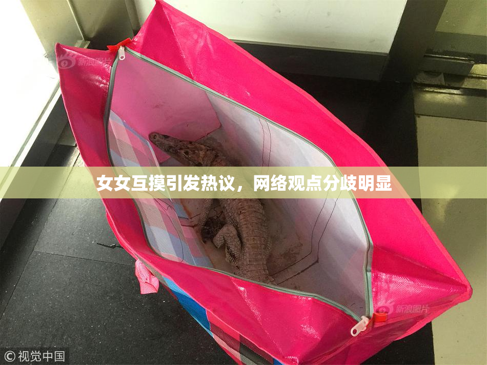 女女互摸引发热议，网络观点分歧明显
