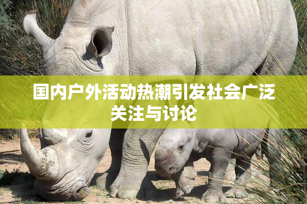 国内户外活动热潮引发社会广泛关注与讨论