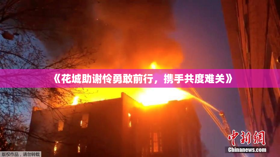 《花城助谢怜勇敢前行，携手共度难关》