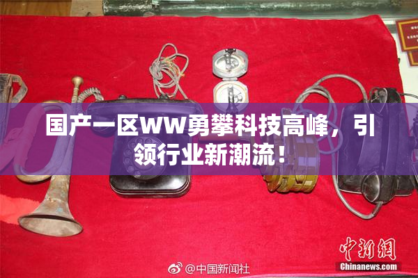 国产一区WW勇攀科技高峰，引领行业新潮流！