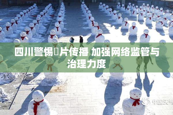 四川警惕婬片传播 加强网络监管与治理力度