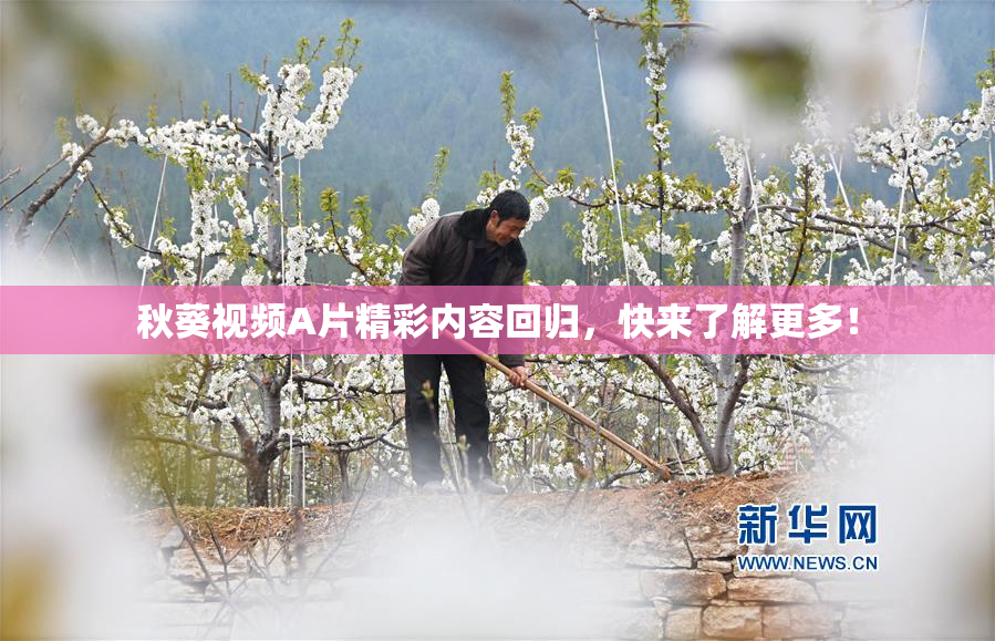 秋葵视频A片精彩内容回归，快来了解更多！