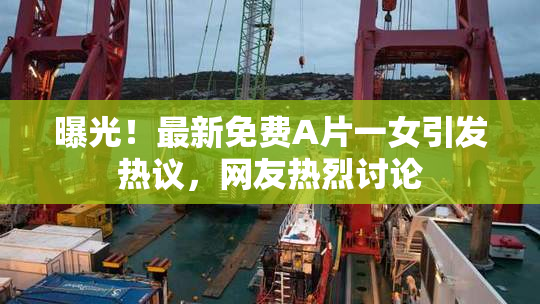曝光！最新免费A片一女引发热议，网友热烈讨论