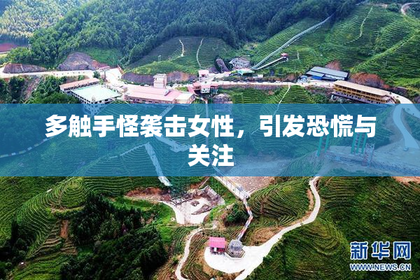 多触手怪袭击女性，引发恐慌与关注