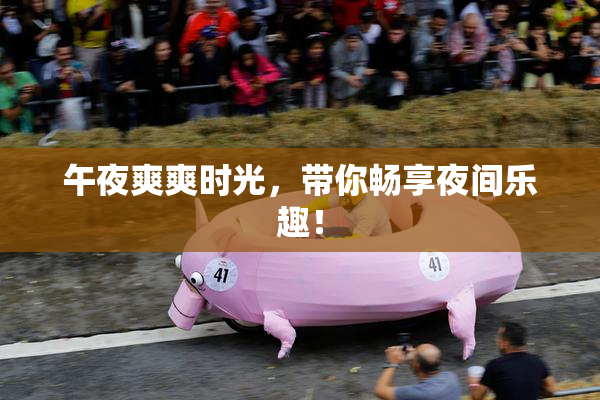 午夜爽爽时光，带你畅享夜间乐趣！