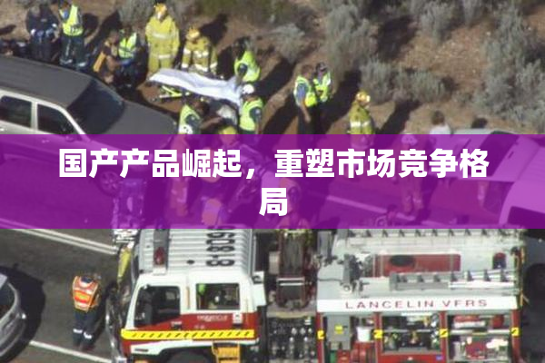 国产产品崛起，重塑市场竞争格局