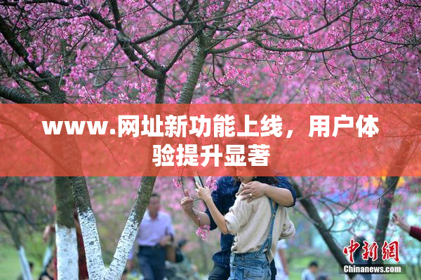 www.网址新功能上线，用户体验提升显著
