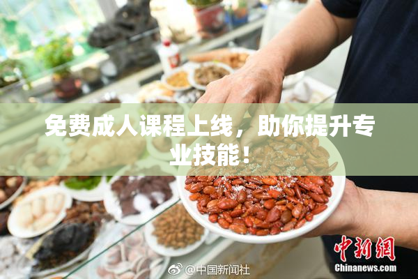 免费成人课程上线，助你提升专业技能！