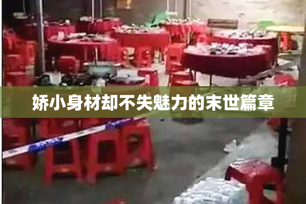 娇小身材却不失魅力的末世篇章