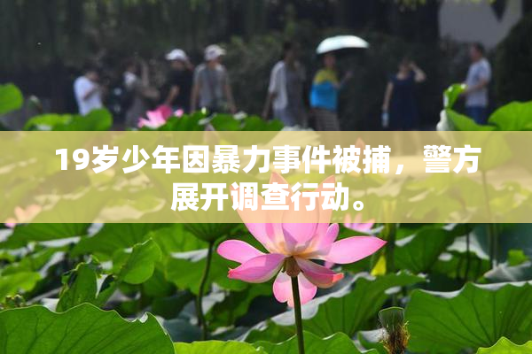 19岁少年因暴力事件被捕，警方展开调查行动。