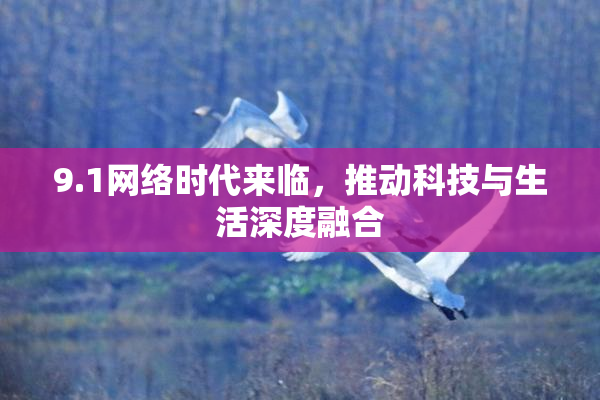 9.1网络时代来临，推动科技与生活深度融合