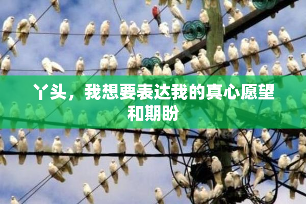 丫头，我想要表达我的真心愿望和期盼