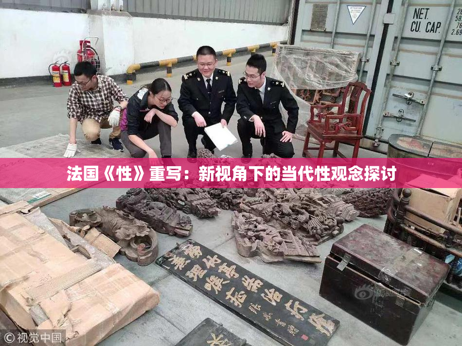 法国《性》重写：新视角下的当代性观念探讨