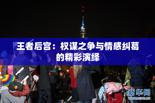王者后宫：权谋之争与情感纠葛的精彩演绎