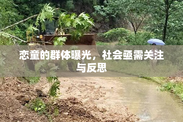 恋童的群体曝光，社会亟需关注与反思