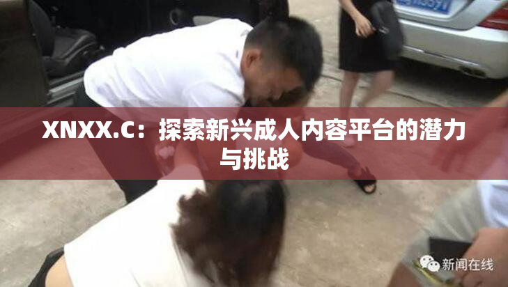 XNXX.C：探索新兴成人内容平台的潜力与挑战
