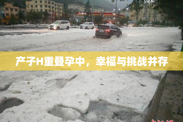 产子H重叠孕中，幸福与挑战并存