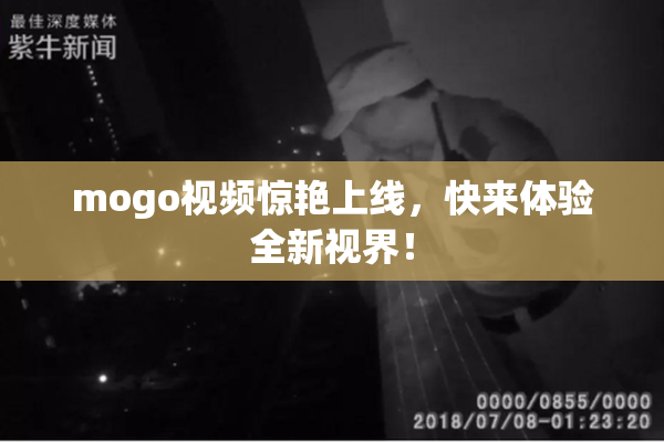 mogo视频惊艳上线，快来体验全新视界！