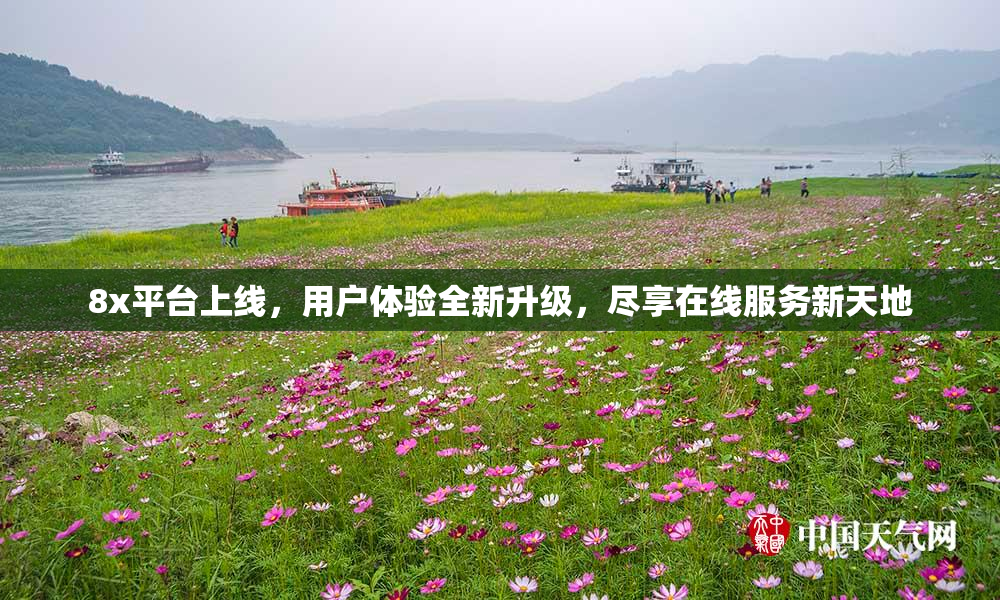 8x平台上线，用户体验全新升级，尽享在线服务新天地