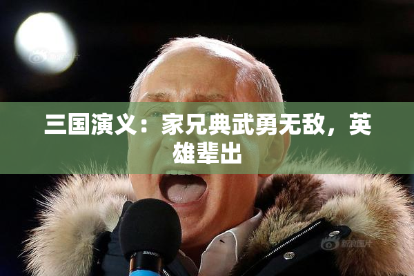 三国演义：家兄典武勇无敌，英雄辈出